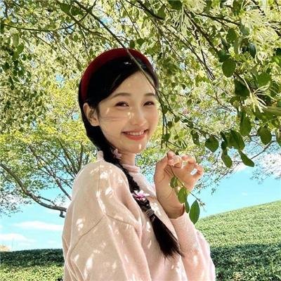 双城故事 封面