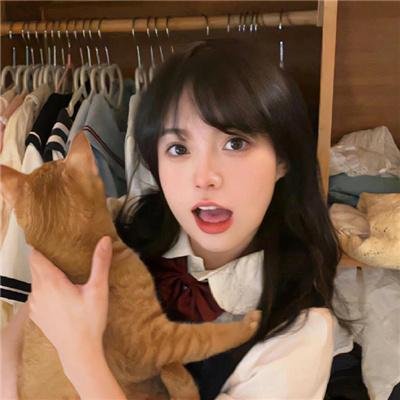 狐狸猎手