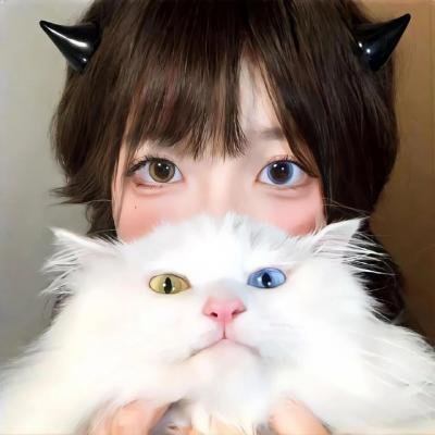 爱在猫咪疗愈时 封面